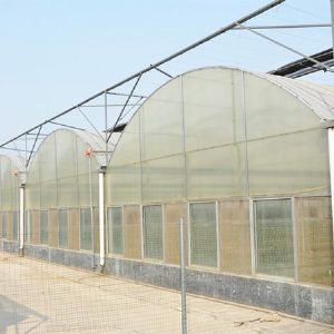 薄膜連棟溫室