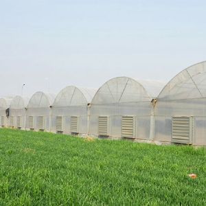 薄膜連棟溫室