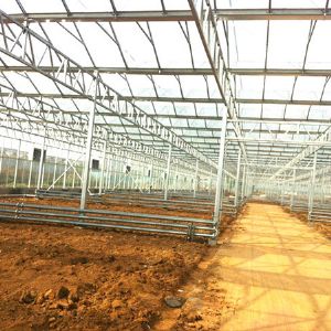 玻璃聯(lián)動(dòng)溫室案例