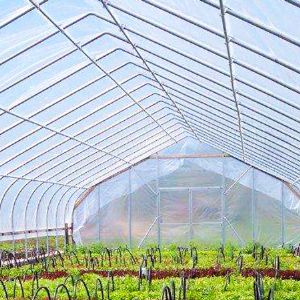 薄膜聯(lián)動(dòng)溫室案例